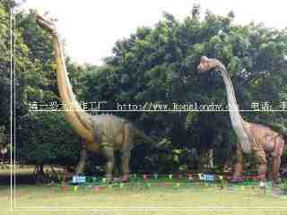 博一专业恐龙模型出租：五一期间在重庆珊瑚公园举办恐龙展
