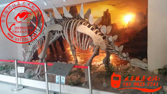 5米沱江龙化石骨架