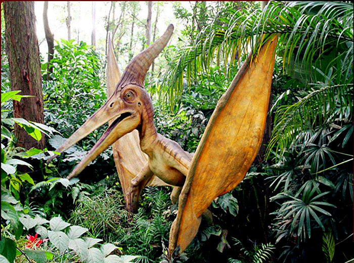 自贡仿真恐龙制作――4米无齿翼龙模型
